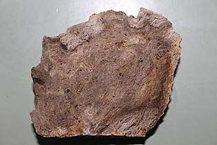 A sample of Rhyolite from the Conical Hill dome at the head Lyttelton Harbour, Banks Peninsula, New Zealand