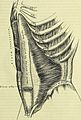 Anatomy, descriptive and surgical (electronic resource) (1860) (14762395894).jpg