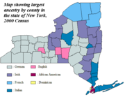 Ancestry-new-york-by county-2000.PNG