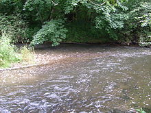 Zusammenfluss von Andelsbach (vorne) und Ablach (hinten) bei Krauchenwies