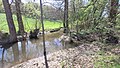 Zusammenfluss von Asbach (rechts) und Johannisbach (links) zum Rodauer Bach