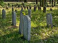 * Nomination Gravestones at the Jewish cemetery in Aschbach --Ermell 06:36, 22 September 2023 (UTC) * Promotion  Support Good quality, but would be even better with more DoF --Virtual-Pano 07:24, 22 September 2023 (UTC)