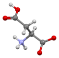 Aspartic-acid-from-xtal-view-2-3D-bs-17.png