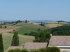 Vitrier Haute-Garonne (31)