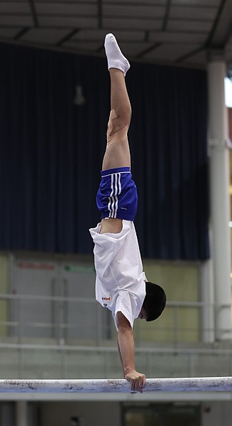 File:Austrian Future Cup 2018-11-23 Training Afternoon Parallel bars (Martin Rulsch) 0137.jpg