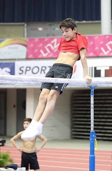 File:Austrian Future Cup 2018-11-23 Training Afternoon Parallel bars (Martin Rulsch) 0640.jpg