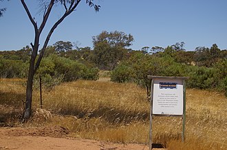 Paddock description signage; this one is currently being used for research into various Atriplex (saltbush) species for use as fodder Avondale ag rs gnangarra 05.JPG