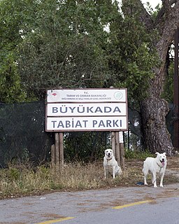 Büyükada Nature Park Nature park in Büyükada, Istanbul, Turkey