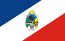 Bandeira da estrela