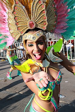 Disfraces y adornos para el carnaval en Sao Paulo, Brasil