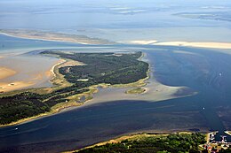 Barhöft, Insel Bock, Bodden (2011-05-21) .JPG