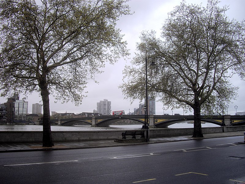 File:Battersea Bridge from Chelsea - geograph.org.uk - 2916521.jpg
