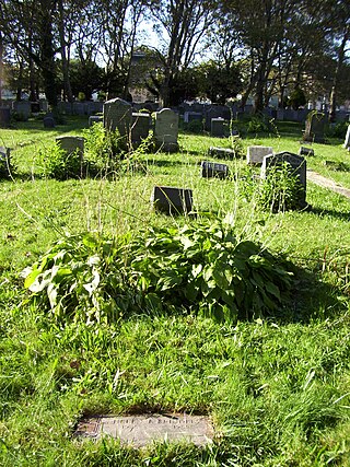 <span class="mw-page-title-main">Bayview – New York Bay Cemetery</span>