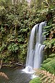 Beech Forest (AU), Great Otway National Park, Beauchamp Falls -- 2019 -- 1293.jpg