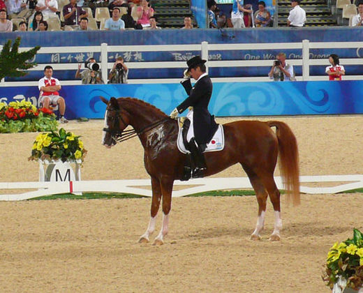 A horse and rider in dressage competition at the Olympics