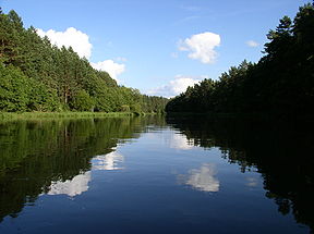 Die Vilija-rivier (Neris) in Belarus.