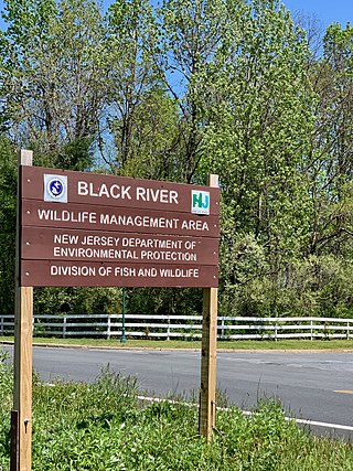 <span class="mw-page-title-main">Black River Wildlife Management Area</span>