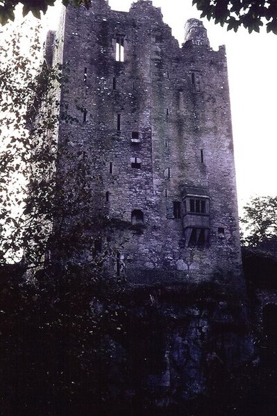 File:Blarney Castle - geograph.org.uk - 1605552.jpg