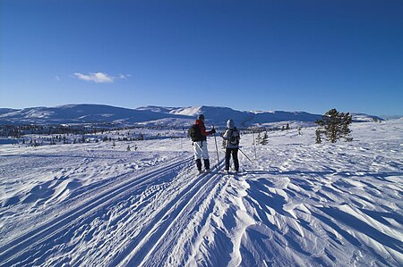 Blefjell løyper.jpg