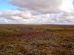 Il punto più orientale dell'Europa continentale: la tundra nei pressi di Vorkuta, Russia