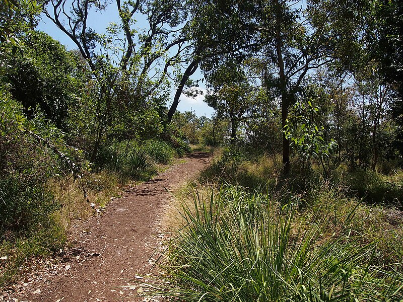 File:Botany Bay National Park - panoramio (25).jpg