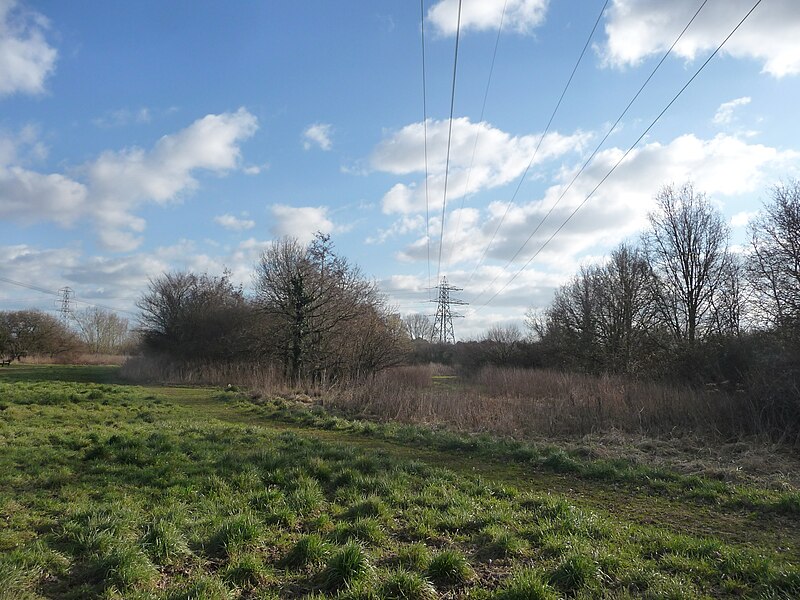 File:Bournemouth , Stour Valley Local Nature Reserve - geograph.org.uk - 1704334.jpg