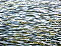 * Nomeação Ripples on the surface of a quarry pond in the Main valley near Breitengüßbach --Ermell 05:00, 7 May 2024 (UTC) * Revisão necessária