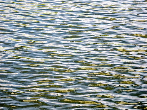 Ripples on the surface of a quarry pond