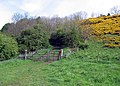 wikimedia_commons=File:Bridleway from Cassop Vale to Old Cassop - geograph.org.uk - 1309813.jpg