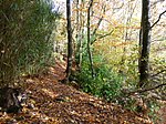 Brook Brick Pit