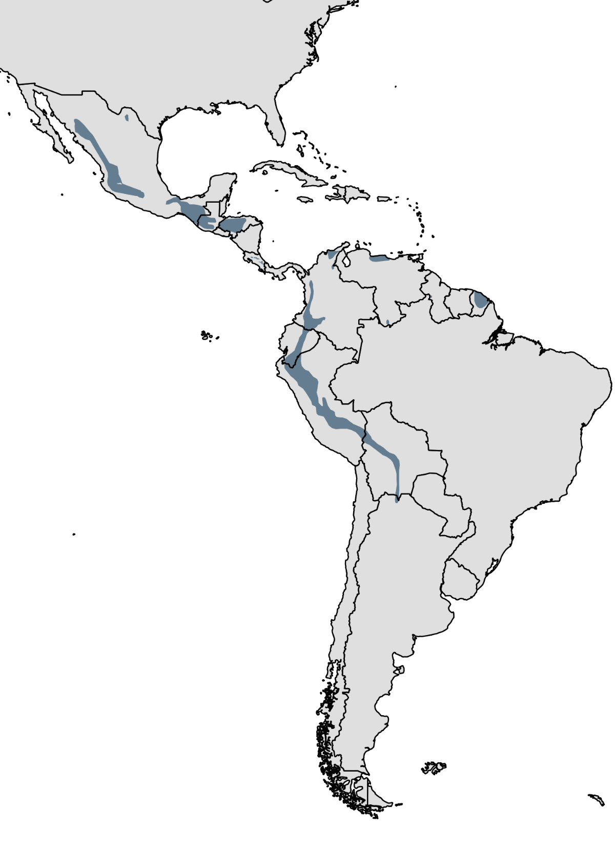 Buteogallus solitarius - Wikipedia, la enciclopedia libre