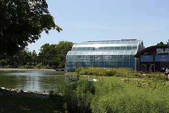 Butterfly House