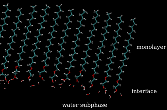 Cross section of simulation cell containing monolayer of ethylene glycol monooctadecyl ether (C18E1) on water. Blue represents carbon atoms, red is oxygen and white is hydrogen. C18e1.png