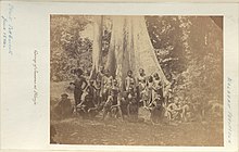 A group of Jakun people at Blanja, Perak Tengah District, Perak, June 1874. CO 1069-484-118 (7886260798).jpg