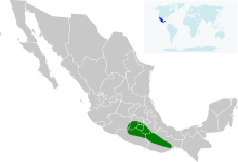 Calothorax Pulcher map.svg