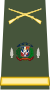 Capona de Teniente Coronel Ejercito Nacional.svg