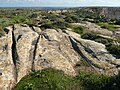 Schleifspuren auf dem Ta' Ċenċ Plateau (Gozo): Eine Gabelung