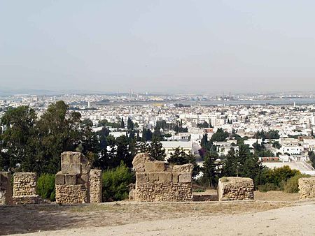 Carthage (xã)