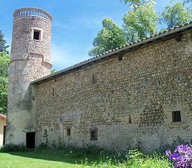 Château de Jarcieu - Musée de la faïence fine.jpg