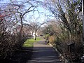 Cheyne Gardens, Chelsea - geograph.org.uk - 2788992.jpg