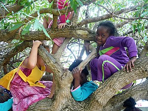 3 children climbing in a tree, smiling at the camera.