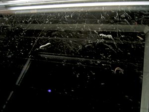 Cloud chamber bionerd.jpg