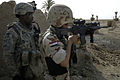 Coalition and Iraqi Forces Conduct Operation Iron Pursuit DVIDS107837.jpg