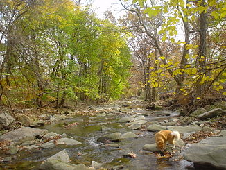 Cobbs Creek en Nitre Hall