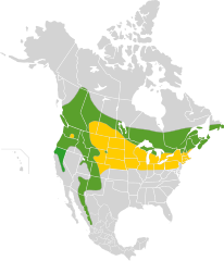 Mapa występowania