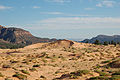 Part of the field of sand dunes.