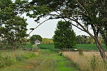 Champ de maïs Monmouth.JPG