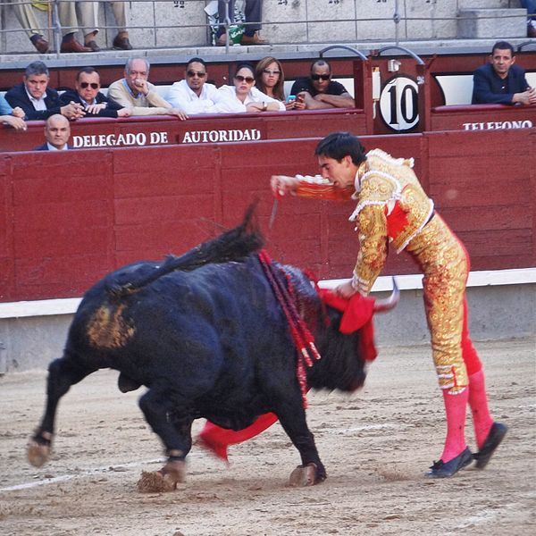 File:Corrida madrid eq 2014-04-13 05.jpg