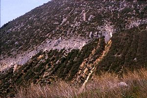 Terremoto Della Marsica Del 1915: Sismicità storica, Dati storici, Stima delle vittime