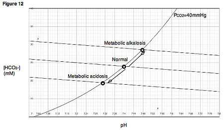 Asidosis_metabolisme